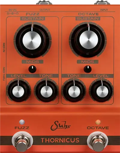 Thornicus Fuzz