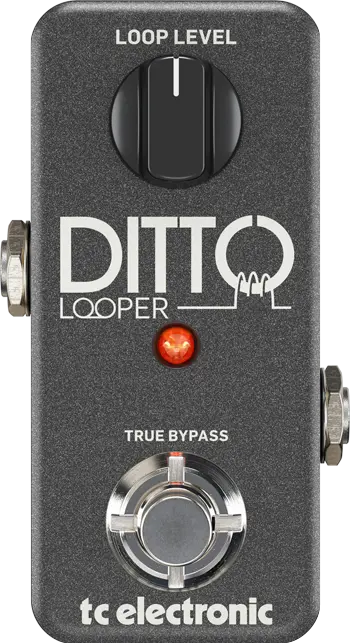 Ditto Looper
