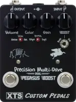 Dual Precision/Pegasus