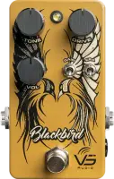 Blackbird