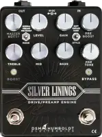 Silver Linings