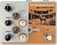 Transience