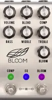 Bloom