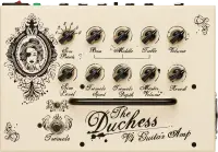 V4 The Duchess Amp