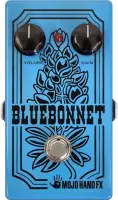 Bluebonnet