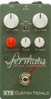 Fermata Optical Compressor