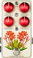 Cynosium Delay