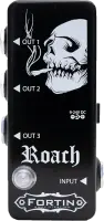 Roach