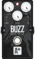Buzz