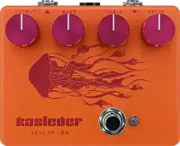 Jellyfish