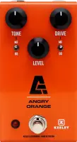 Angry Orange (Signalis)