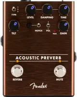 Acoustic Preverb