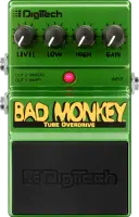 Bad Monkey