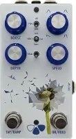 Dandelion (LE White)