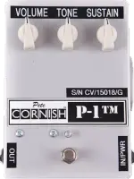 P-1