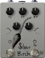 Silver Birch (Ash)