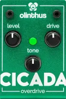 Cicada