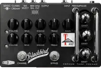 Blackbird