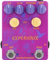 Experience