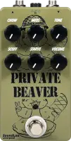 Private Beaver