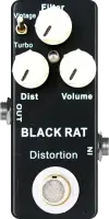 Black Rat