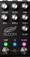 Bloom (Black)