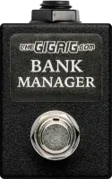 Bank Manager