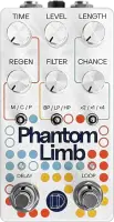 Phantom Limb