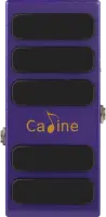 CP-31 Purple Wah