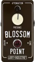 Blossom Point