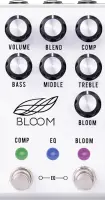 Bloom (Monochrome)