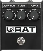Rat