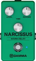 Narcissus