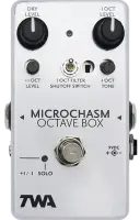 Microchasm