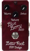 BlueBerry