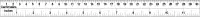 12 Inch Ruler