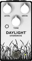 Daylight