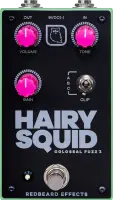 Hairy Squid