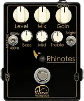 Rhinotes