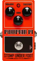 Pumpkin Pi