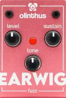 Earwig