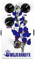 Bluebonnet Special