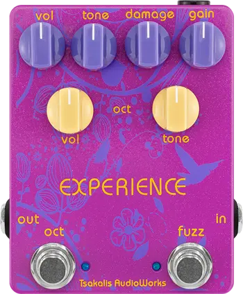Experience