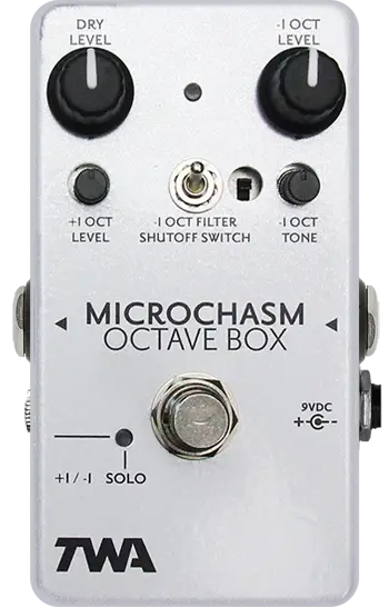 Microchasm