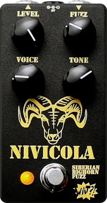 Nivicola